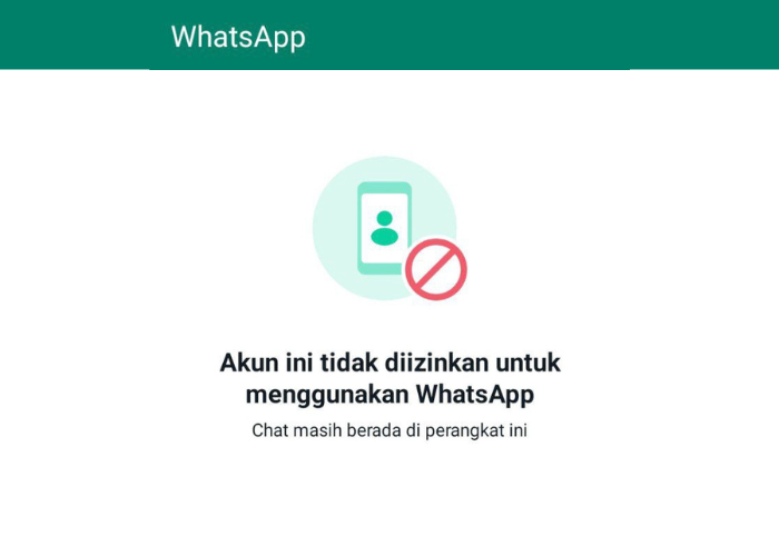 cara-mengatasi-akun-whatsapp-yang-terbanned-solusi-untuk-kembali-menggunakan-aplikasi-dengan-aman